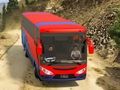 Žaidimas Autobuso vairavimo simuliatorius  internete