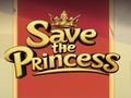 Žaidimas Išgelbėk princesę  internete