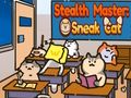 Žaidimas Slaptas meistras: sneak katė internete