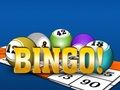 Žaidimas „Bingooo 2024“ internete