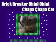 Žaidimas Plytų laužytojas Chipi Chipi Chapa Chapa Cat internete Žaidimas Plytų laužytojas Chipi Chipi Chapa Chapa Cat internete