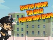 Žaidimas Rooftop Pursuit The Great Penitenciary Escape  internete