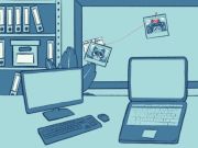 Žaidimas Meškėno mįslė  internete
