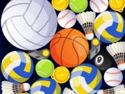 Žaidimas Sporto sujungimas  internete