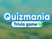 Žaidimas Quizmania smulkmenų žaidimas  internete