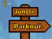Žaidimas Džiunglių parkūras  internete