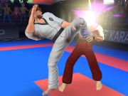 Žaidimas Karate kovotojas  internete