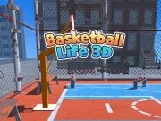 Žaidimas Krepšinio gyvenimas 3d  internete