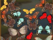 Žaidimas Mergebuterfly: 2048! internete