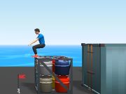 Žaidimas Flip Master internete