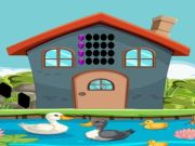 Žaidimas Duck House pabėgimas  internete
