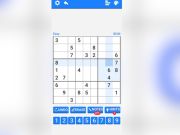 Žaidimas Sudoku 247: matematikos meistras  internete
