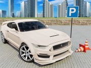 Žaidimas Automobilio treniruoklis 3D  internete