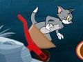 Žaidimas Tomas ir Jerry nuokalnė  internete