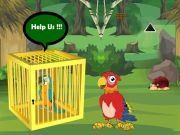 Žaidimas Išleisti įstrigusį „Macaw“ bičiulį internete