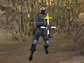 Žaidimas Blykstės krizė  internete