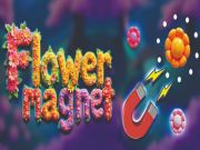 Žaidimas Gėlių magnetas internete