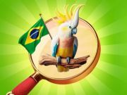 Žaidimas Paslėpti objektai: atostogos Brazilijoje internete