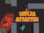 Žaidimas Ninja Assassin internete