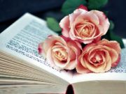 Žaidimas „Blooms“ knyga Jigsaw internete
