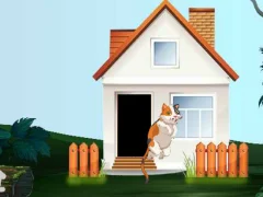 Žaidimas Curious Cat Escape internete