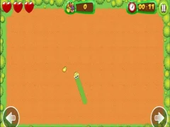 Žaidimas Fruit Snake internete
