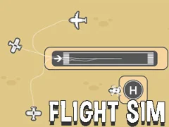 Žaidimas Flight Sim internete