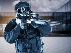 Žaidimas Special Forces Sniper internete