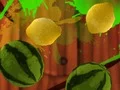 Žaidimas Fruit Break internete