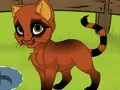 Žaidimas My Kitten internete