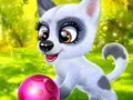 Žaidimas Happy Dog internete