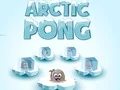 Žaidimas Arctic Pong internete