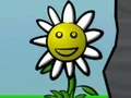 Žaidimas Flower Power internete