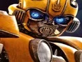Žaidimas Bumblebee Hidden Spots internete