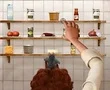 Žaidimas Ratatouille internete