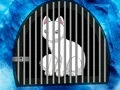 Žaidimas Snow Fox Escape internete