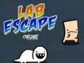 Žaidimas Lab Escape Online internete