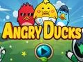 Žaidimas Angry Ducks internete