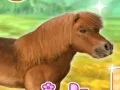 Žaidimas My Dear Pony internete