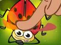 Žaidimas Insect Cush internete