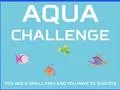 Žaidimas Aqua Challenge internete