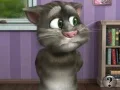 Žaidimas Talking Tom Cat 2 internete