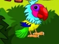 Žaidimas Couple Parrot Escape 2 internete