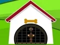 Žaidimas Ostrich Rescue internete