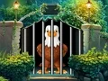 Žaidimas Dauntless Eagle Escape internete