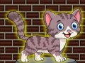 Žaidimas Loveable Small Cat Escape internete