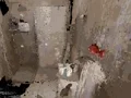 Žaidimas Occupied internete