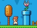 Žaidimas Ninja Plumber internete