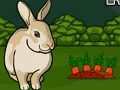Žaidimas Rescue The Grey Rabbit internete
