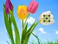 Žaidimas Flower Lawn Escape internete